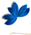 Oscar Fari Salon Logo